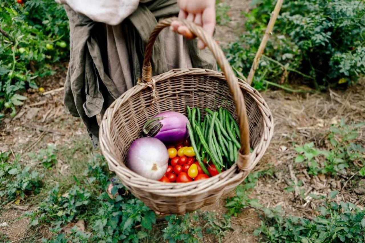 Leremorifugio Escursionistico10 Min Steep Walk Farm stay *